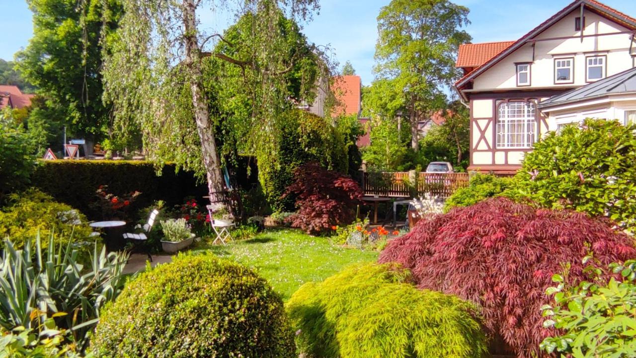 Fewo Am Wetzstein Wernigerode Kültér fotó